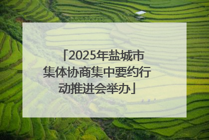 2025年盐城市集体协商集中要约行动推进会举办