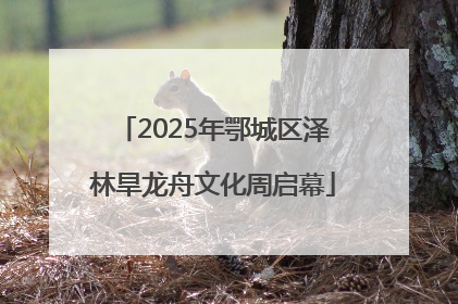 2025年鄂城区泽林旱龙舟文化周启幕