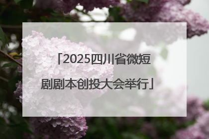 2025四川省微短剧剧本创投大会举行