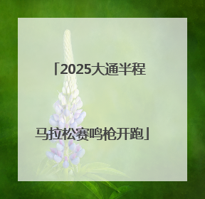 2025大通半程马拉松赛鸣枪开跑