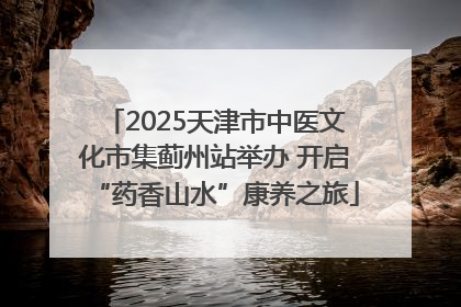 2025天津市中医文化市集蓟州站举办 开启“药香山水”康养之旅