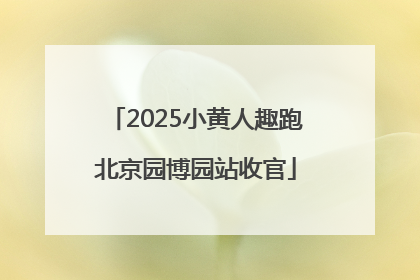 2025小黄人趣跑北京园博园站收官