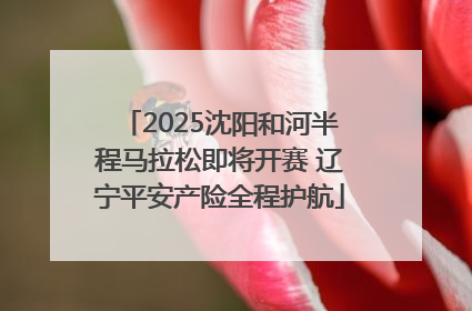 2025沈阳和河半程马拉松即将开赛 辽宁平安产险全程护航