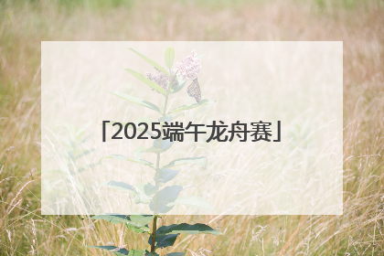 2025端午龙舟赛