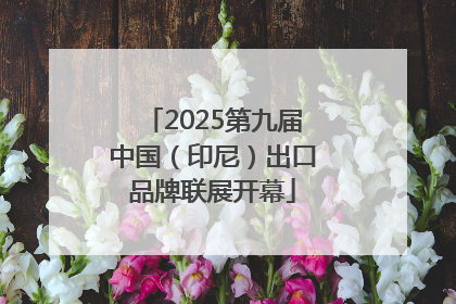 2025第九届中国（印尼）出口品牌联展开幕