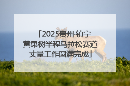 2025贵州·镇宁黄果树半程马拉松赛道丈量工作圆满完成