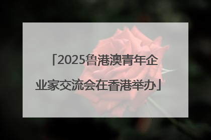 2025鲁港澳青年企业家交流会在香港举办