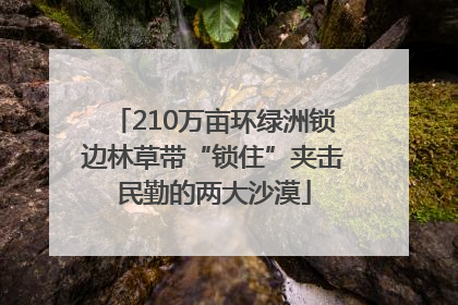 210万亩环绿洲锁边林草带“锁住”夹击民勤的两大沙漠