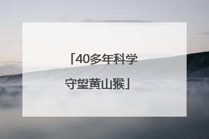 40多年科学守望黄山猴