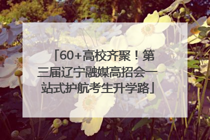60+高校齐聚！第三届辽宁融媒高招会一站式护航考生升学路