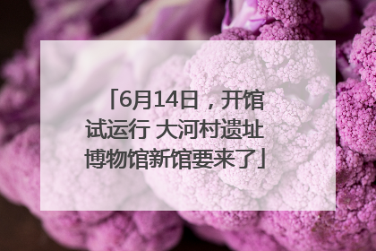 6月14日，开馆试运行 大河村遗址博物馆新馆要来了