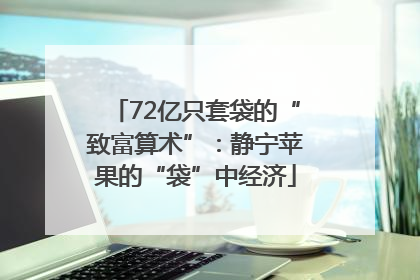 72亿只套袋的“致富算术”：静宁苹果的“袋”中经济