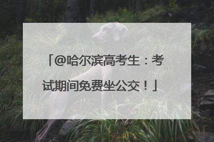 @哈尔滨高考生：考试期间免费坐公交！