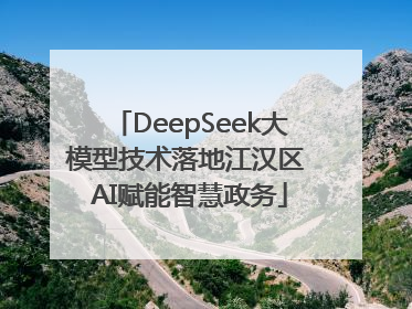 DeepSeek大模型技术落地江汉区 AI赋能智慧政务